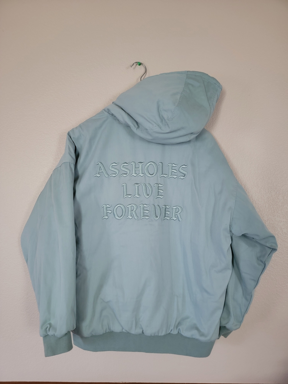 Light Blue Hooded Bomber Jacket with Back Embroidery
